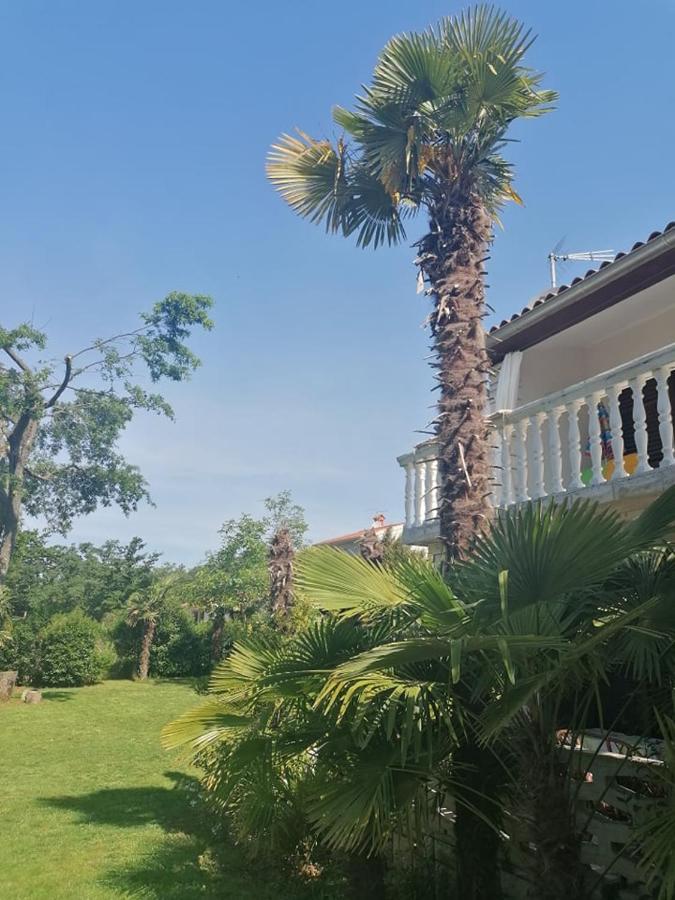 Apartment Angelina 70M From The Beach, Free Parking Novigrad Istria 외부 사진