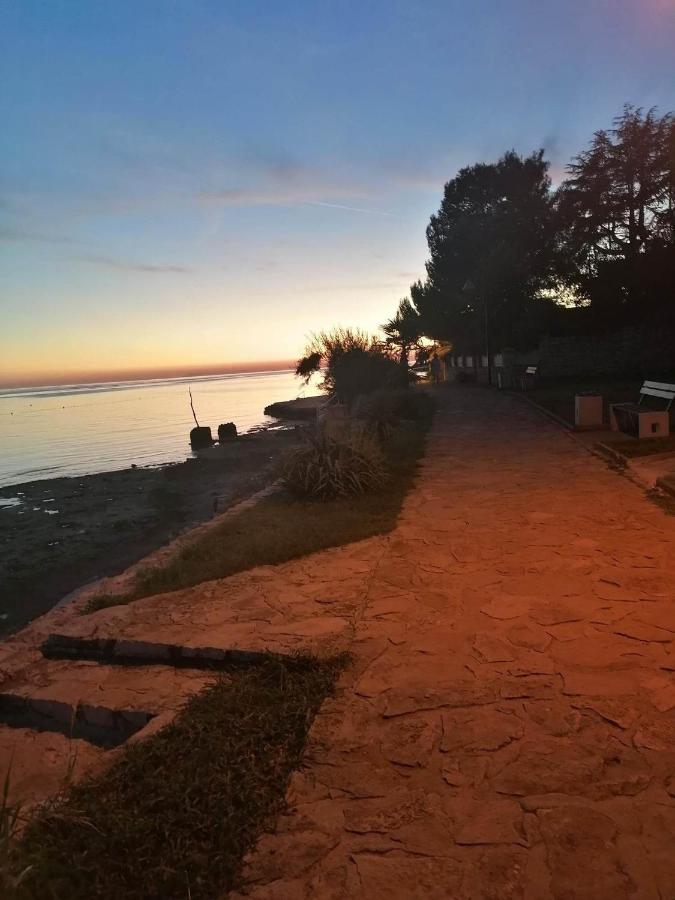 Apartment Angelina 70M From The Beach, Free Parking Novigrad Istria 외부 사진