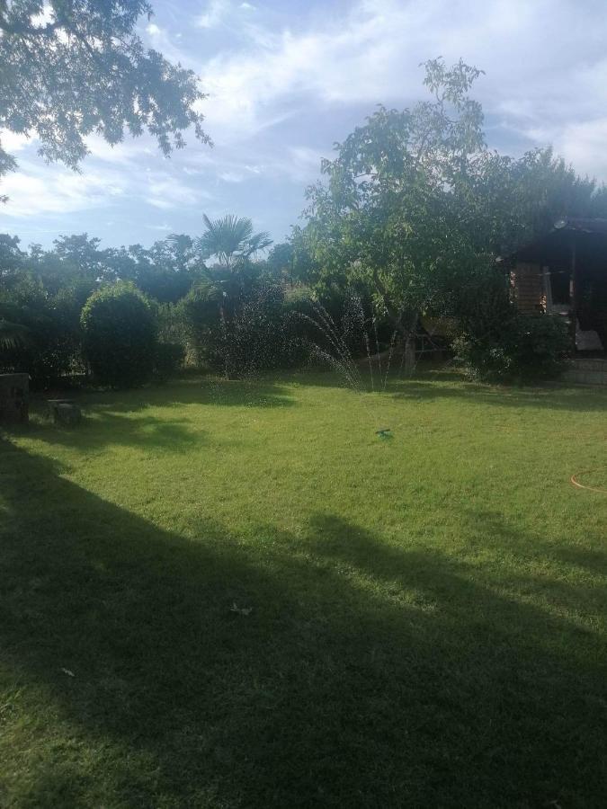 Apartment Angelina 70M From The Beach, Free Parking Novigrad Istria 외부 사진