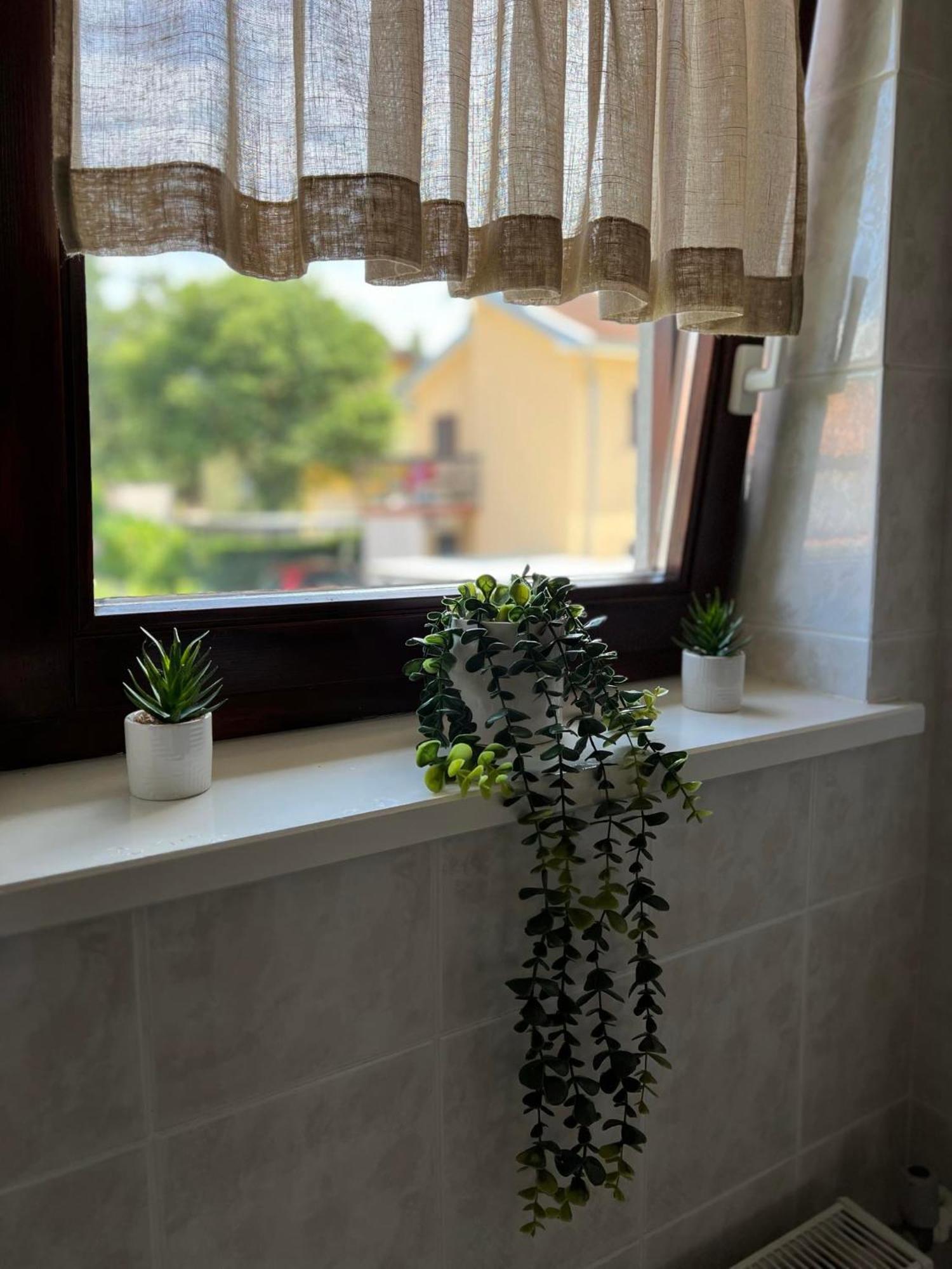 Apartment Angelina 70M From The Beach, Free Parking Novigrad Istria 외부 사진